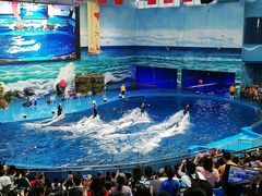 -多彩贵州城极地海洋世界