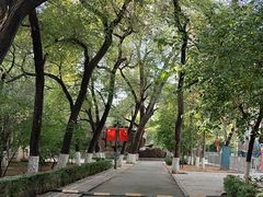 -哈尔滨文化公园