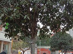 -思训家卡耐基中国口才培训(渝中校区)