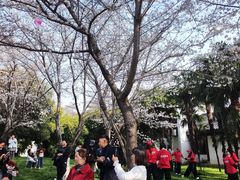 -堤角公园