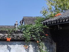 -东梓关景区村庄