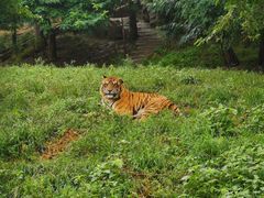 -大连森林动物园