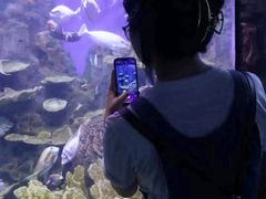-左海海底世界
