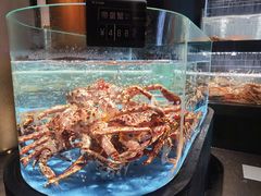 -徐记海鲜(南油永新汇店)