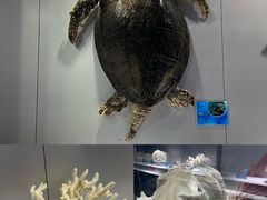 -福州罗源湾海洋世界旅游区