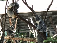 -可伦宾野生动物保护区
