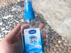 -柴犬高等学院·狗咖·柴犬售卖·宠物训练