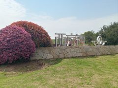 -西京湾花海