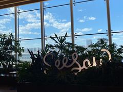 -Seesaw Coffee(朝阳大悦城店)