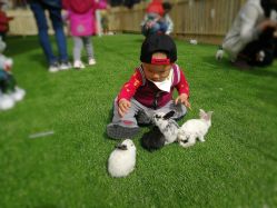 -萌宠亲子动物乐园(槐房万达店)