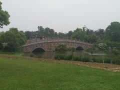 -瑶湖郊野森林公园