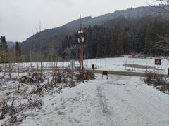 -武陵山森林公园