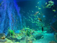 -沈阳海洋探索中心