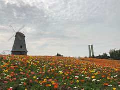 -都江堰玫瑰花溪谷