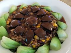 -老乡村美食农庄