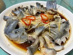 -煲来饱去冷水鱼