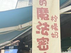 -猫的魔法密林(衣裳街店)
