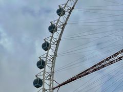 -济南国际园博园