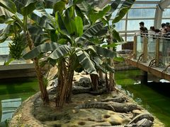 -辛玛王国游乐园