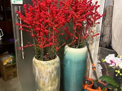 -双季花艺园艺市场(浦东店)