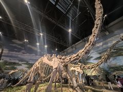 -自贡恐龙博物馆