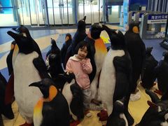-芜湖新华联大白鲸海洋公园