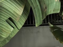 -罗汉堂·荷谷(礼智路店)