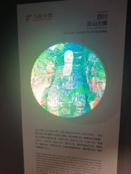 -飞览天下沉浸式飞行体验(北京旗舰店)