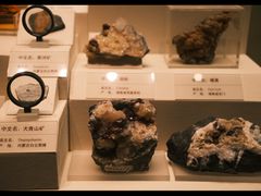 -天津自然博物馆