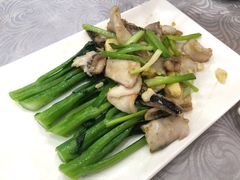 葱姜炒生鱼片-粤·向群饭店(龙津东路总店)