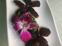 -墨脱石锅椰子鸡•香草鸭•东山羊(大东海店)