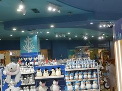 -成都浩海立方海洋公园