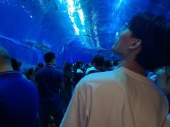 -成都浩海立方海洋公园