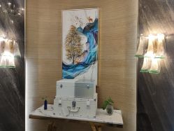 -雅曼妮spa美容养生