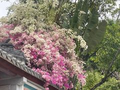 -深圳国际园林花卉博览园