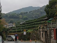 -龙井村