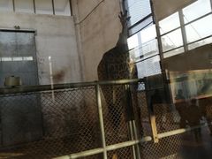 -石家庄市动物园