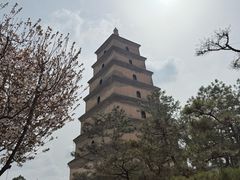 -大慈恩寺(大雁塔)