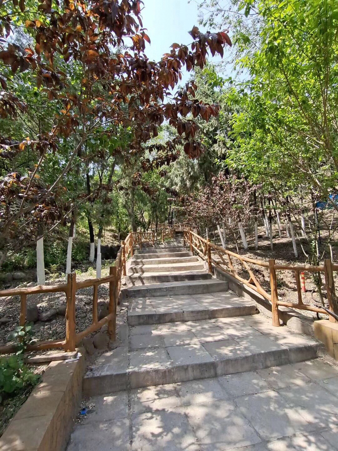 张郭庄村休闲公园位于丰台区张郭庄村西边