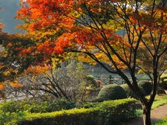 -四明山国家森林公园