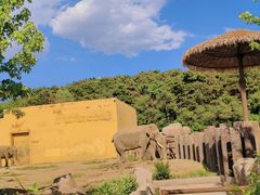 -沈阳森林动物园