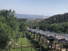 -大青山野生动物园