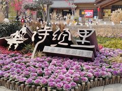 -诗经里