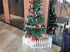 -一兆韦德健身(慧芝湖店)