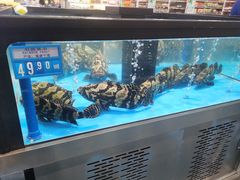 -麦德龙(郑东店)