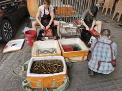 -铜元老码头鳝鱼火锅