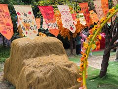 -常州淹城野生动物世界