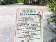 -西双版纳原始森林公园
