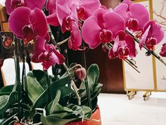 -无锡鼎尚皇冠酒店