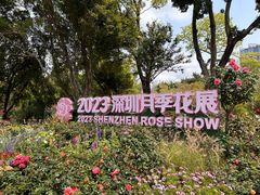 -人民公园(罗湖区)